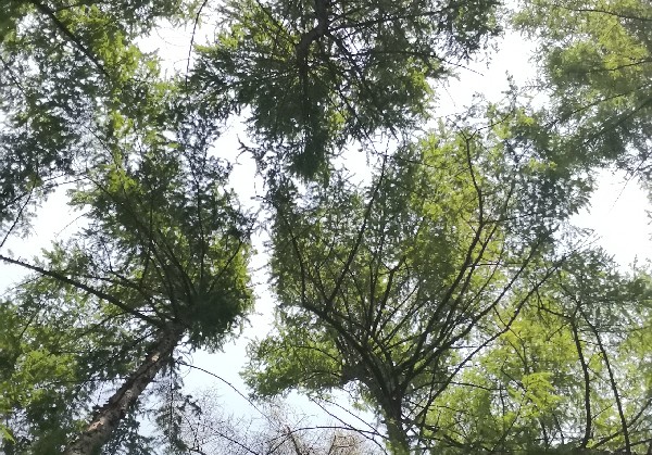 吕梁市及周边