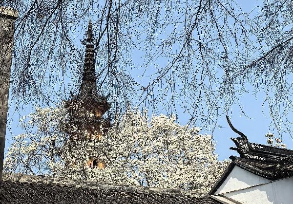 成都三星堆都江堰毕棚沟