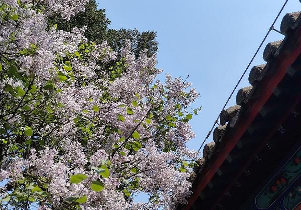 北京
