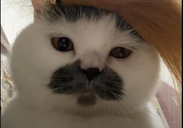 徐州美食