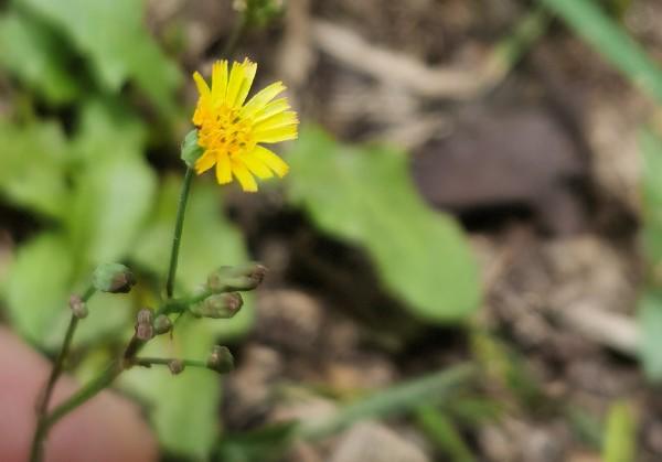 日月湾-万宁-陵水