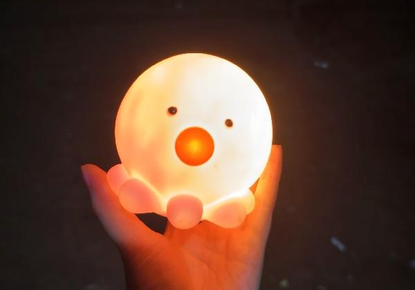 猪猪的湘西之旅