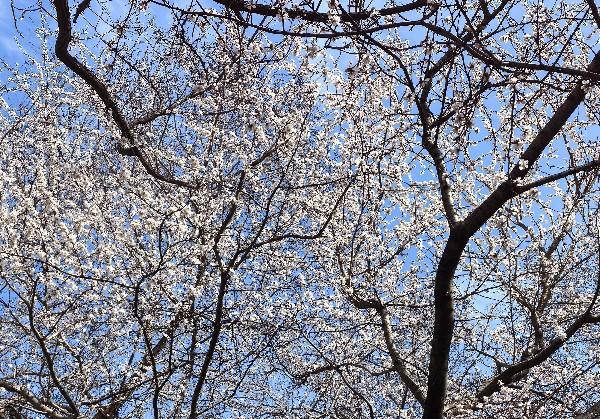 沧州一日特种兵