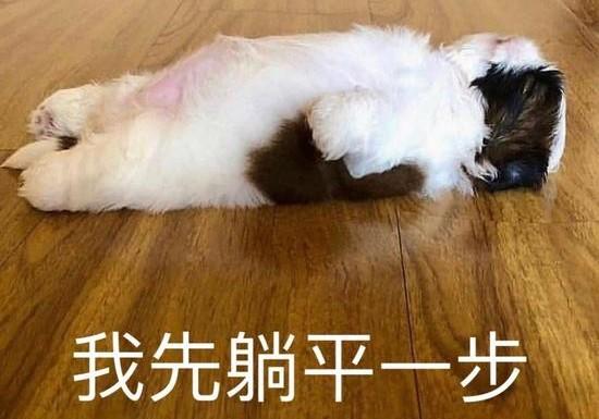 卡皮巴拉的葫芦岛三天两晚自驾游