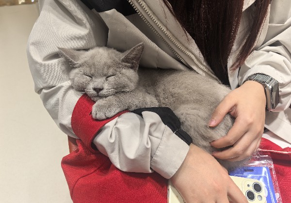 运城