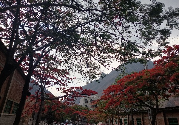 防城港