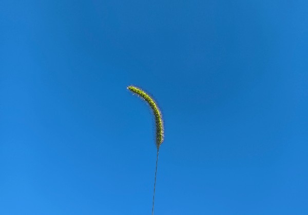 沈阳