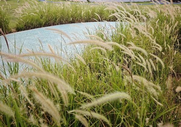阿勒泰