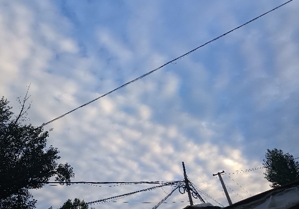 青岛