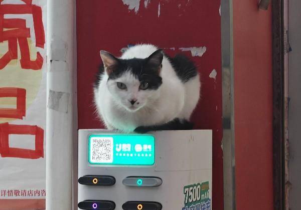 2026 6新疆