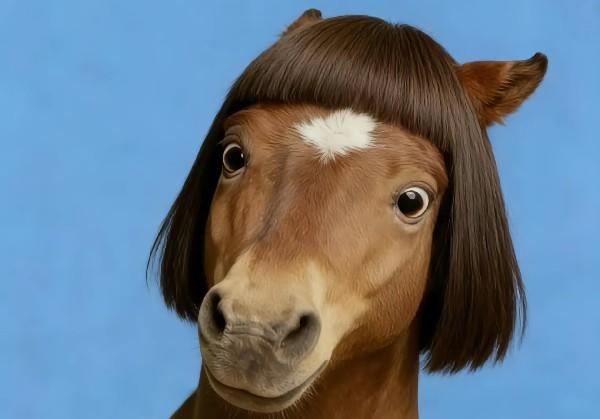 大沈阳欢迎你！