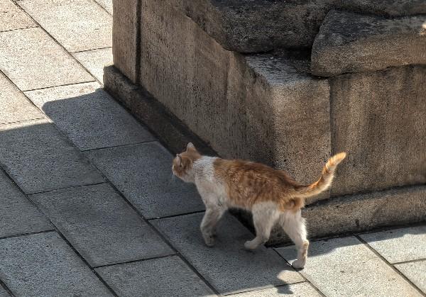 石家庄正定古城