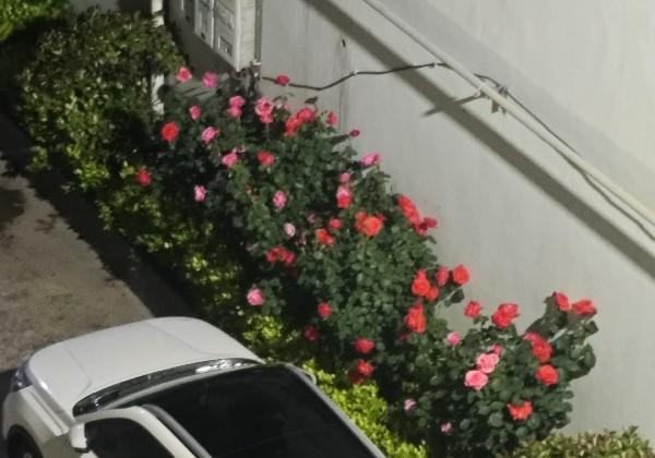 许昌购购购