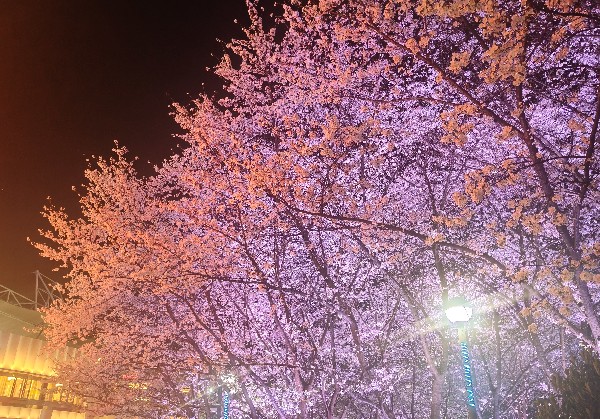 山西