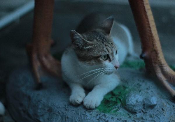 罗定吃喝玩乐拍照打卡（大学生自用）