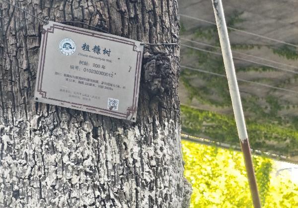 银川