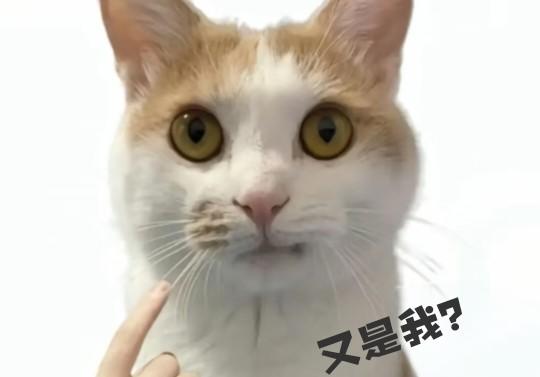 九华山