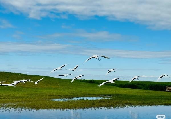 端午齐齐哈尔行