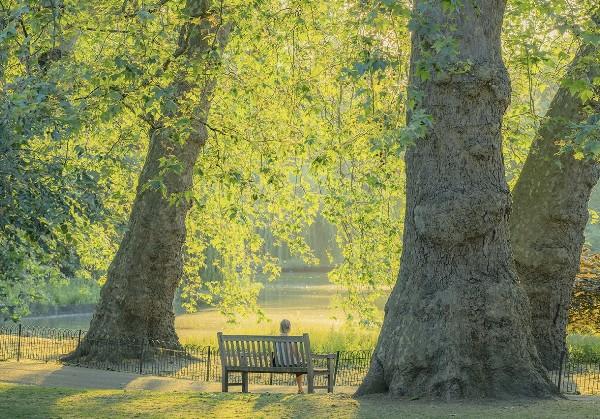 红红的鹤壁美食地图