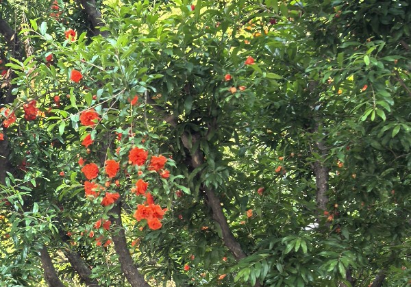 宜昌