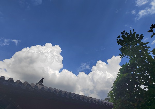 泰安