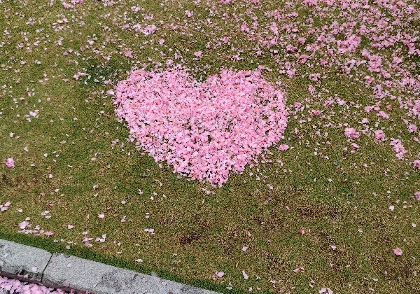 芜湖