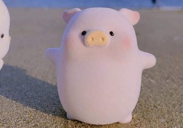 清远旅游年卡旅游攻略