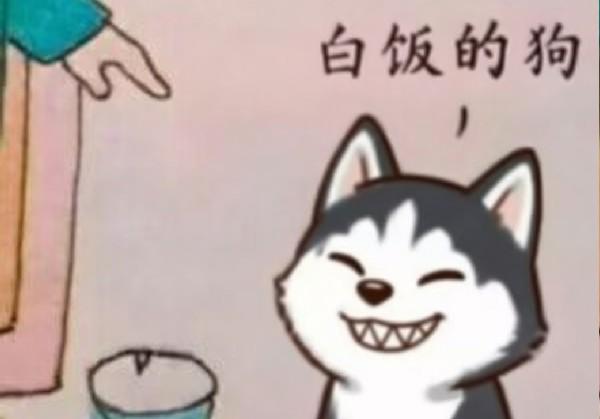 建水个旧2026