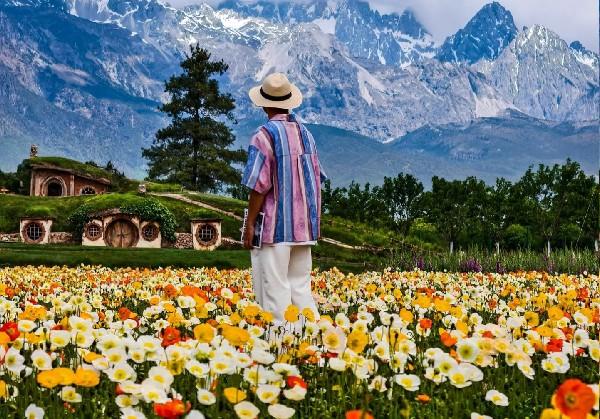 云南自驾四天三晚