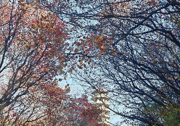 连云港三天两夜