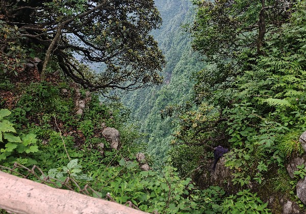 武功山