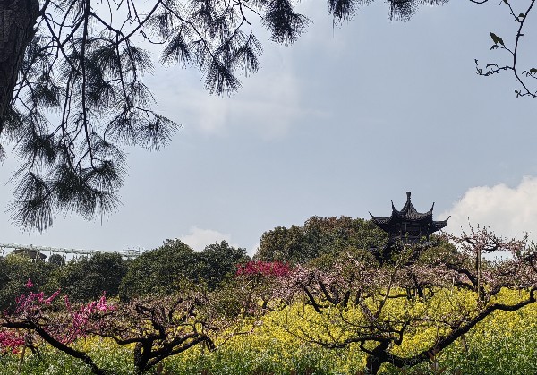 上饶