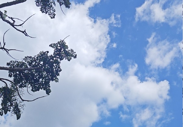 玉林