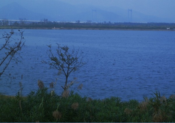 宁波