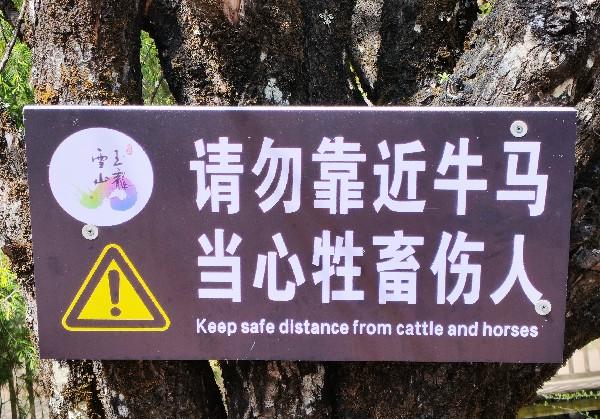 伊春