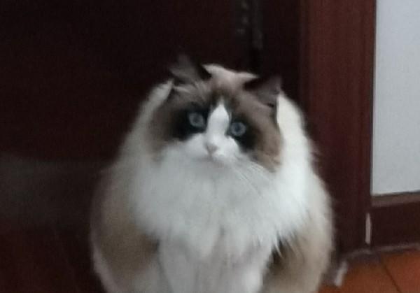青甘大环线
