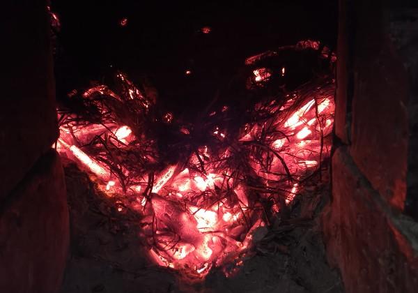 【已完成】无为