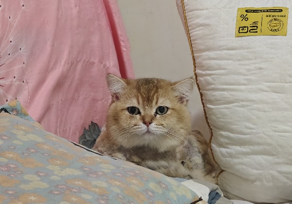 淮安
