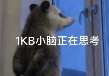 意大利