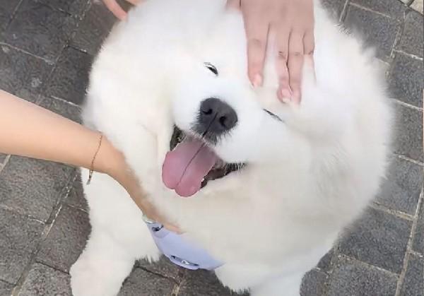 单县逛吃