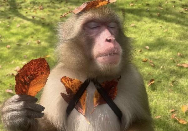 贵阳三日游元旦版