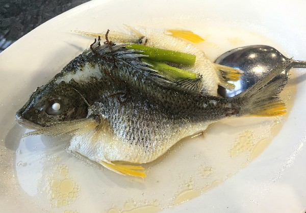 顺德美食
