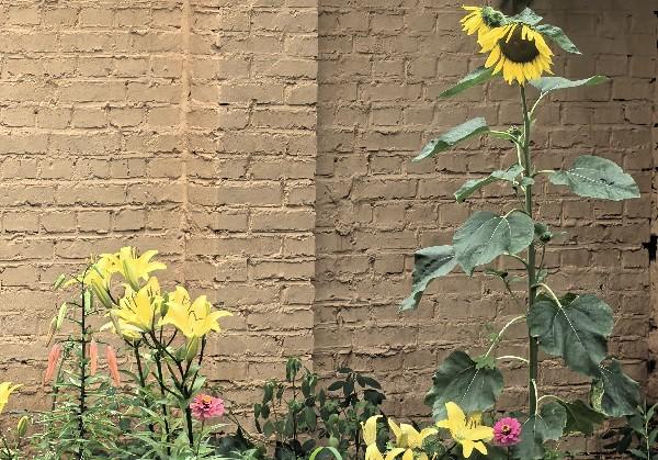绥芬河