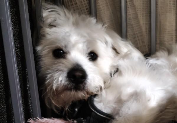 台州绍兴五日游