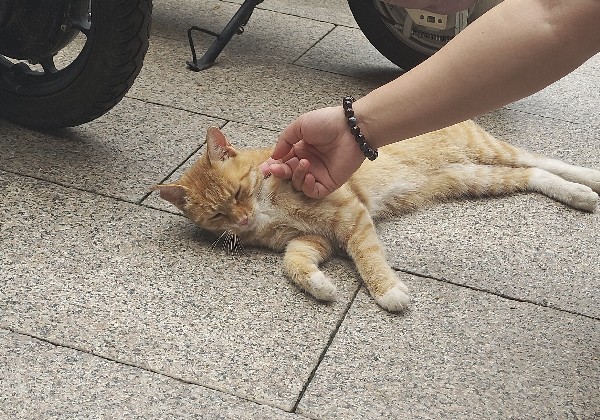 苏州