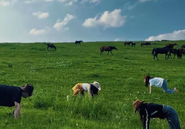 内蒙古-鄂尔多斯