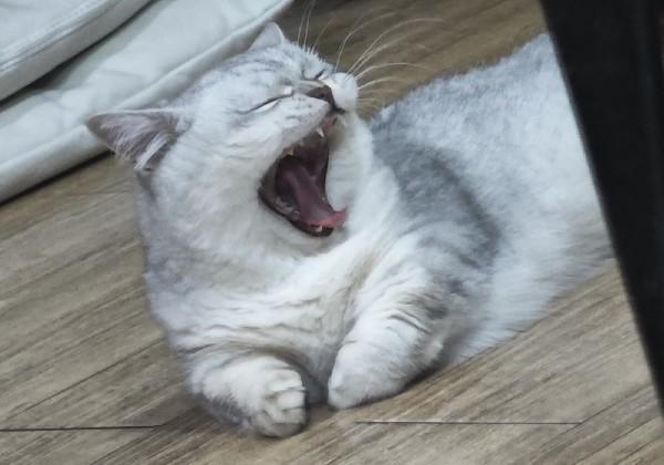 景德镇-上饶三天三夜