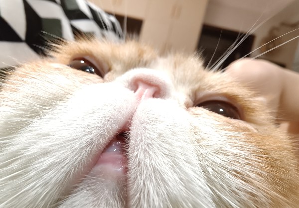 苏州
