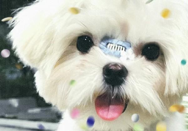 顺德