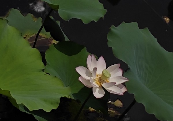 郴州